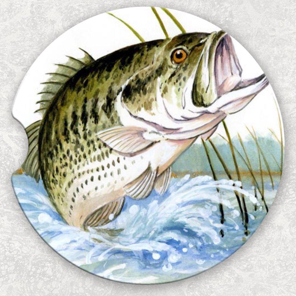 Car Coaster Set - Fish