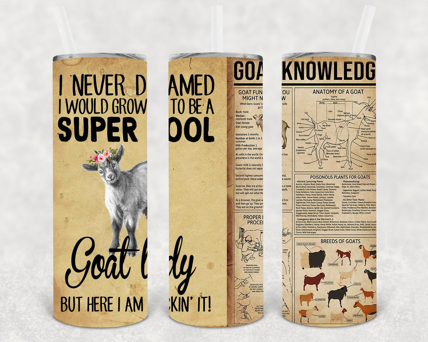 I Never Dreamed I Would Grow Up to Be a Super Cool Goat Lady But Here I am Rockin It 20 oz Skinny Tumbler