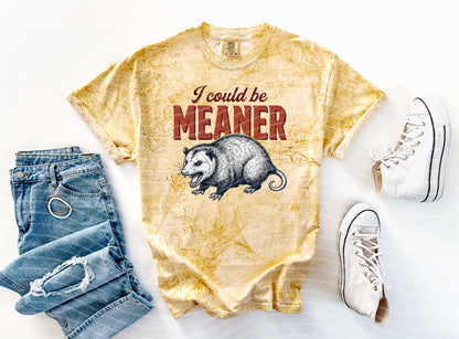 I Could Be Meaner Graphic Tee