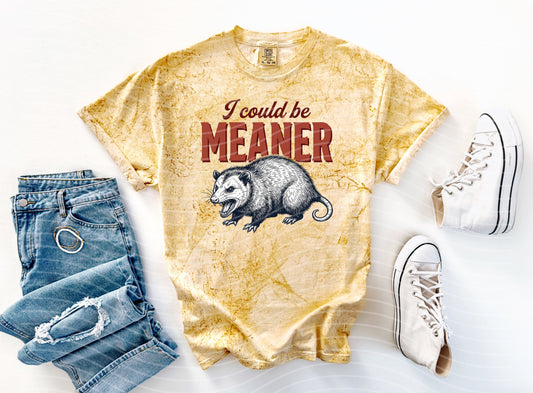 I Could Be Meaner Graphic Tee