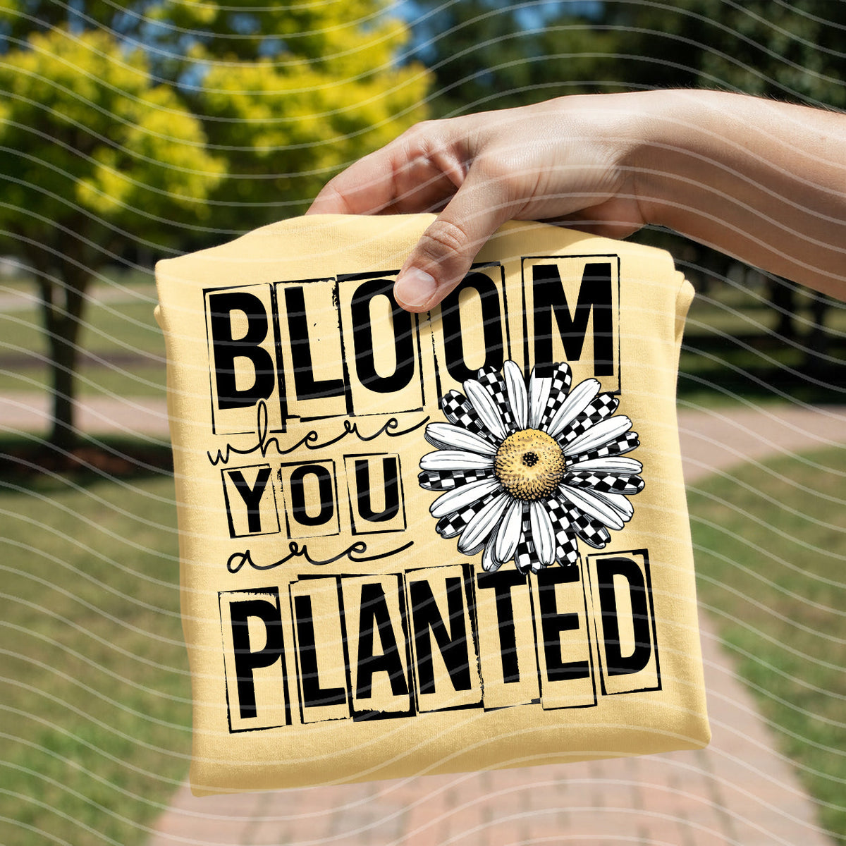 Bloom Where You are Planted Graphic Tee