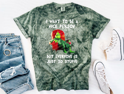 I Want to Be a Nice Person Graphic Tee