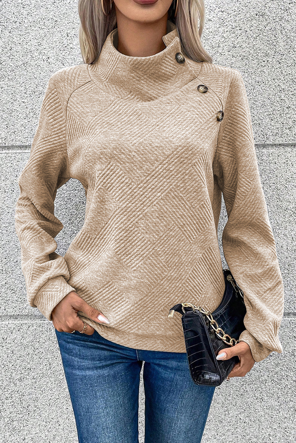 Light Grey Textured Snap Buttons Pullover Plus Size Sweatshirt