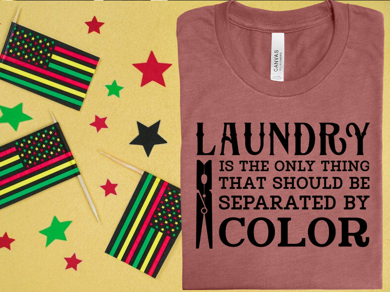 Laundry is the Only Thing That Should be Separated By Color Graphic Tee