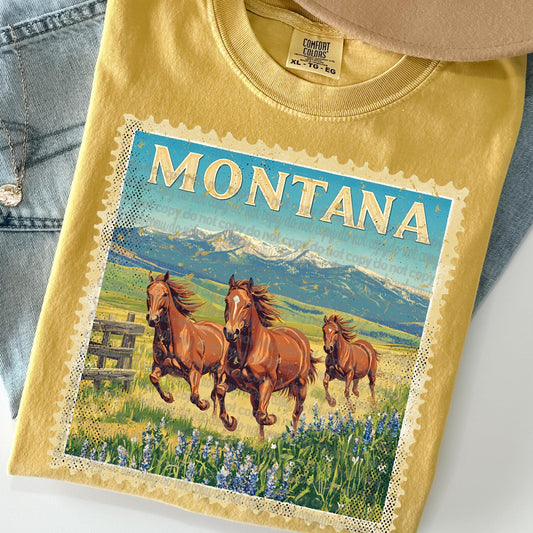 Montana Graphic Tee