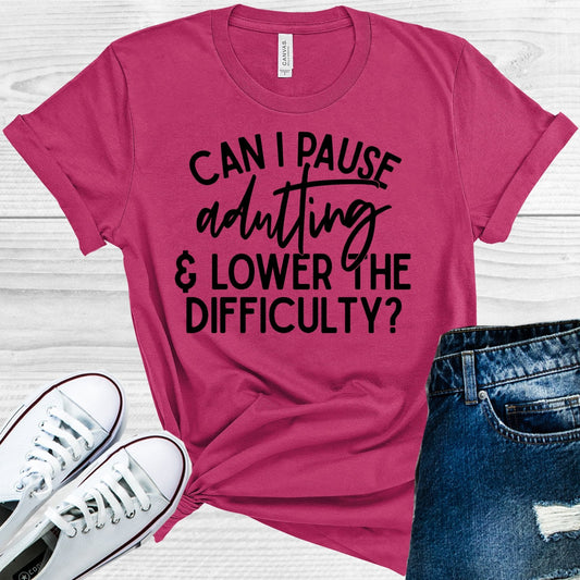 Can I Pause Adulting & Lower the Difficulty Graphic Tee