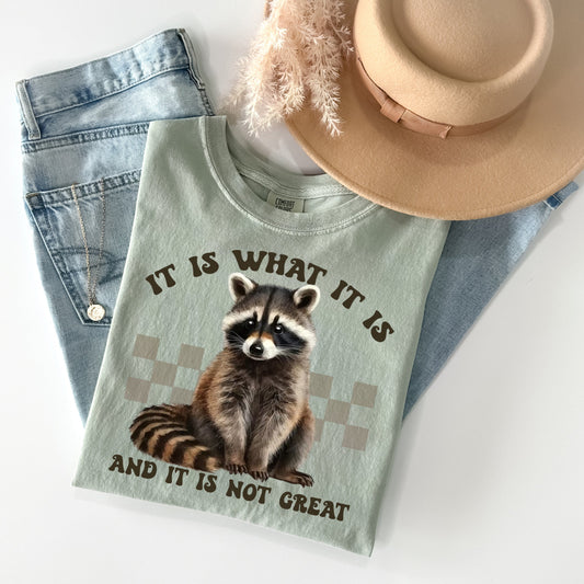 It Is What It Is Graphic Tee