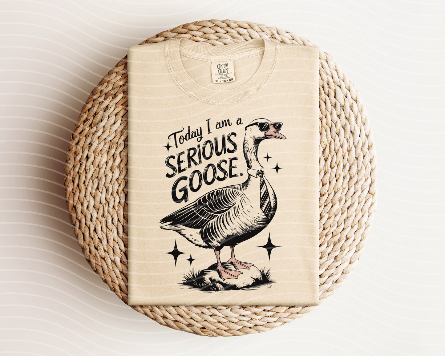 Today I am a Serious Goose Graphic Tee