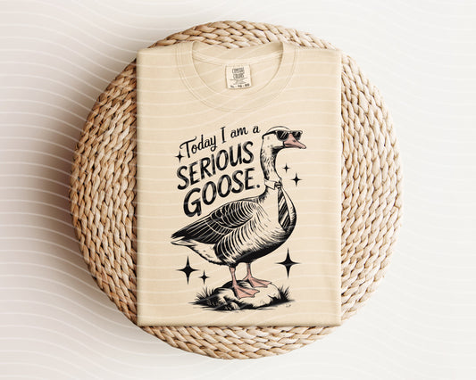 Today I am a Serious Goose Graphic Tee