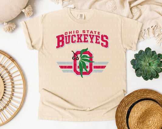 Vintage Team Buckeyes Graphic Tee