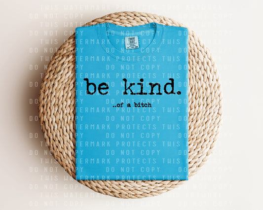 Be Kind of a B**** Graphic Tee