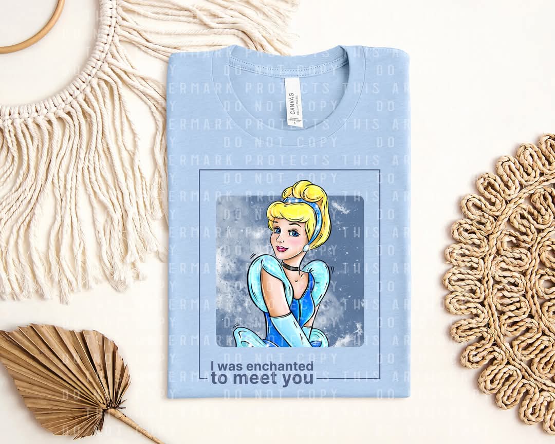I Was Enchanted to Meet You Graphic Tee