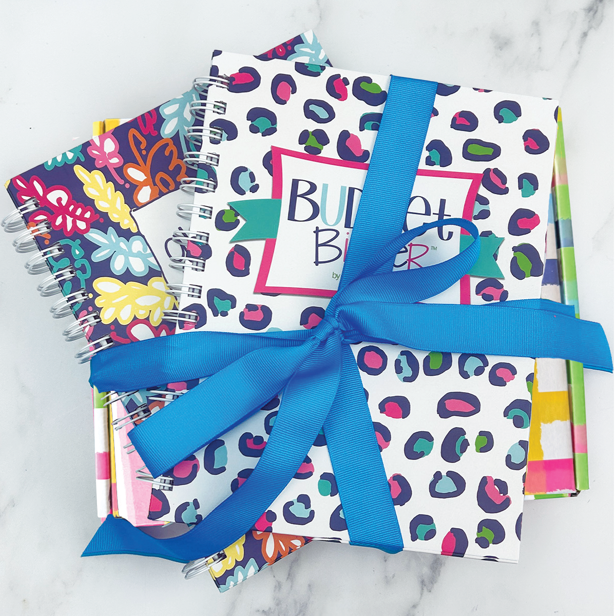 NEW! Dream Gift Bundle | 2027-28 Reminder Binder® Planner, Gratitude Journal & Budget Binder