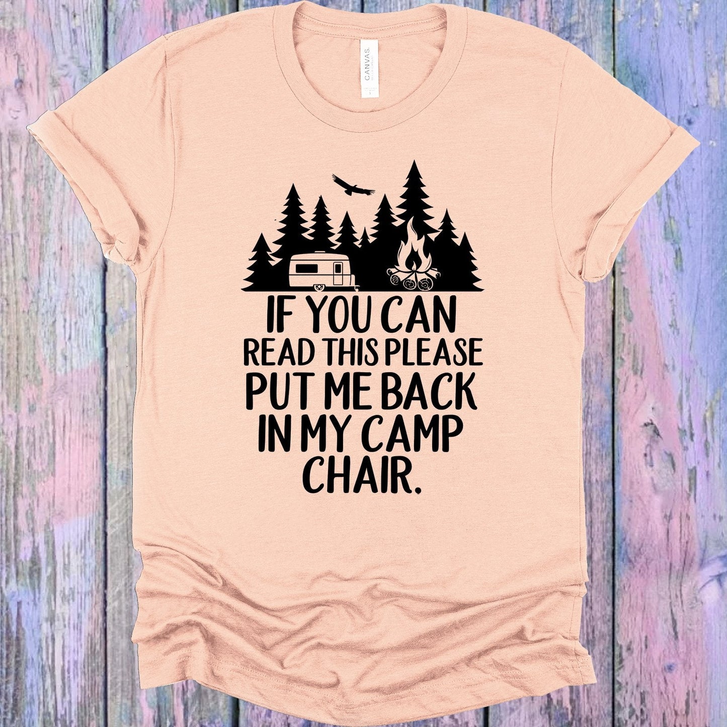 If You Can Read This Please Put Me Back in My Camp Chair Graphic Tee