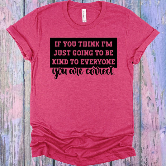 If You Think I'm Going to Be Kind to Everyone You are Correct Graphic Tee