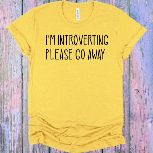 Introverting Please Go Away Graphic Tee