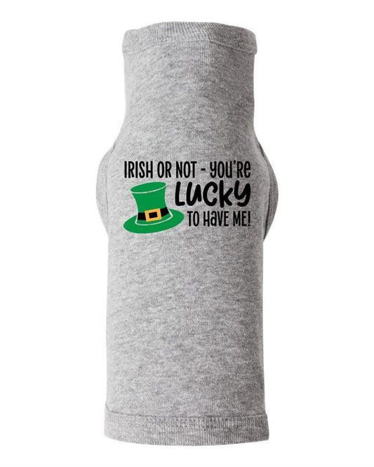 Irish or Not You're Lucky to Have Me Dog Shirt