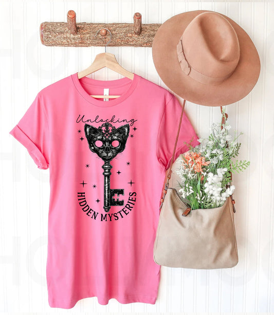 Unlocking Hidden Mysteries Graphic Tee
