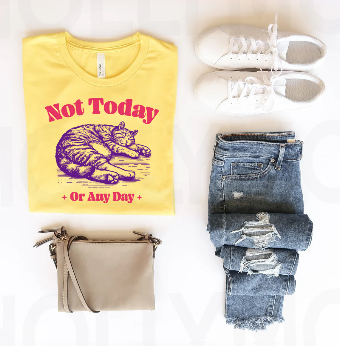 Not Today or Any Day Graphic Tee