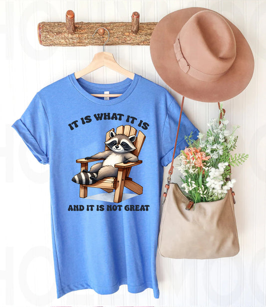 It Is What It Is And It Is Not Great Graphic Tee