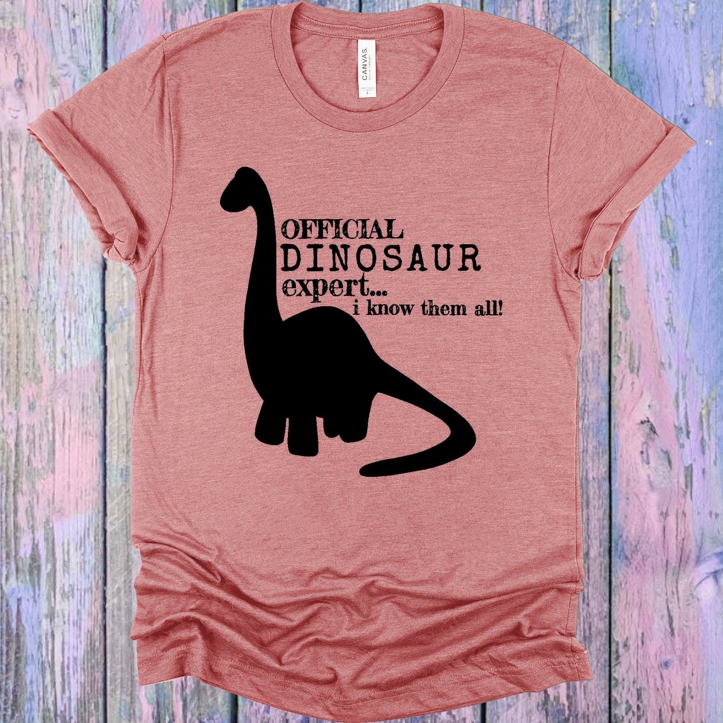 Official Dinosaur Expert Graphic Tee