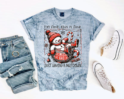 Just Having a Meltdown Graphic Tee