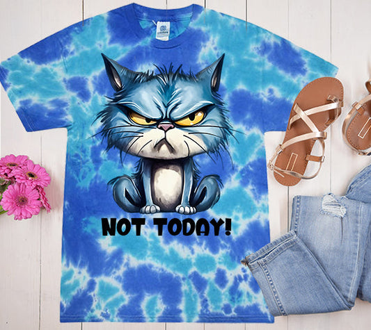 Not Today Graphic Tee
