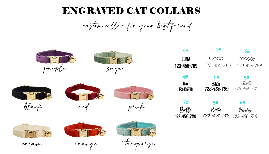 PREORDER: Engraved Cat Collars 11.11.24