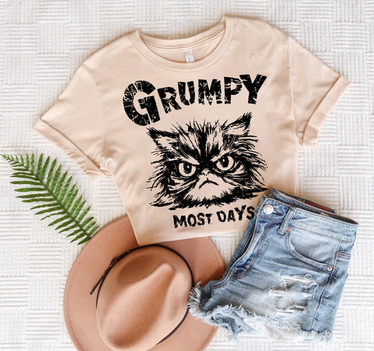 Grumpy Most Days - Graphic Tee