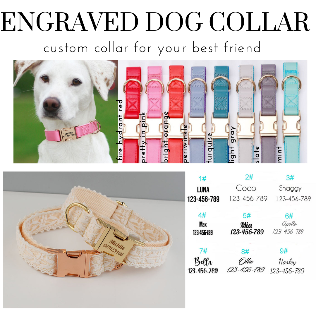 PREORDER: Engraved Dog Collar 11.11.24