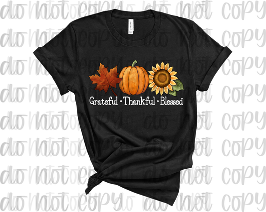 Grateful Thankful Blessed Pumpkins White