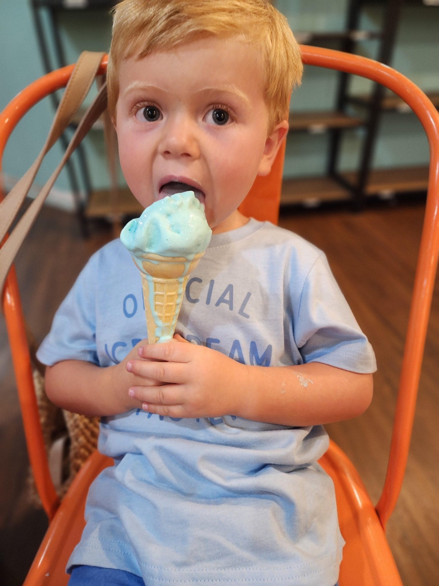 Official Ice Cream Taster Kids Graphic Cotton T-Shirt